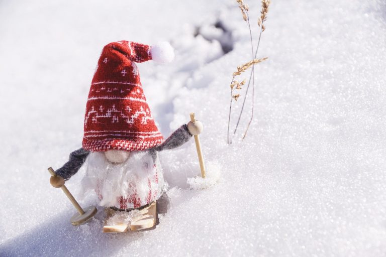Dwarf Gnome on Snow